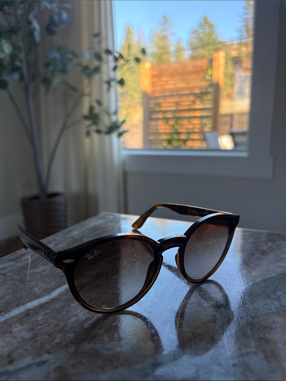 Ray-Ban Sunglasses, tortoiseshell frame.